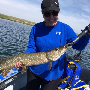 best way to catch pike in alberta fishing planet