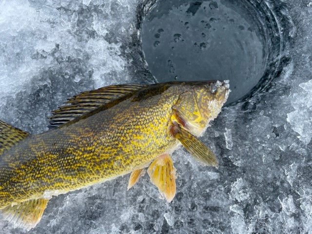 Fully Guided Ice Fishing Trips