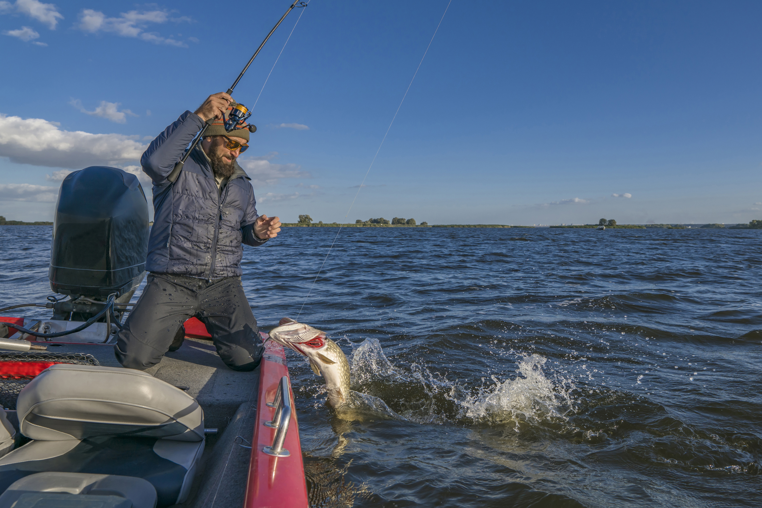 Pike fishing. Fisherman catch big muskie fish with splash in water fishing reel, rod, and tackle on wooden bench